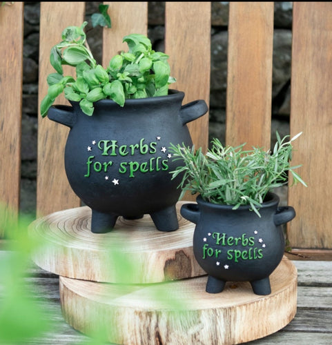 Cauldron Plant Pot