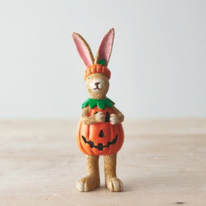 Pumpkin Bunny