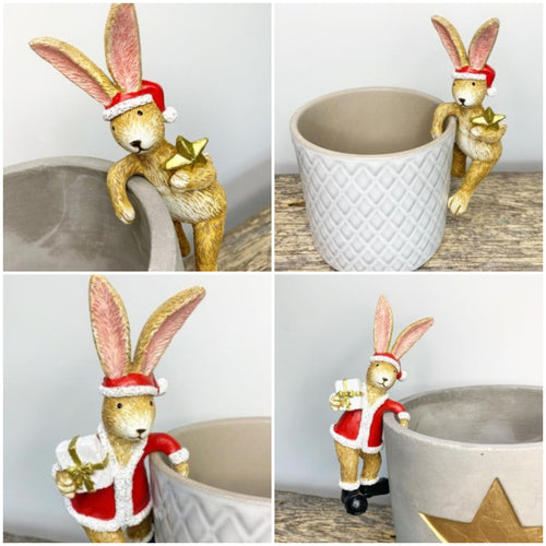 Christmas Rabbit Plant pot Pals